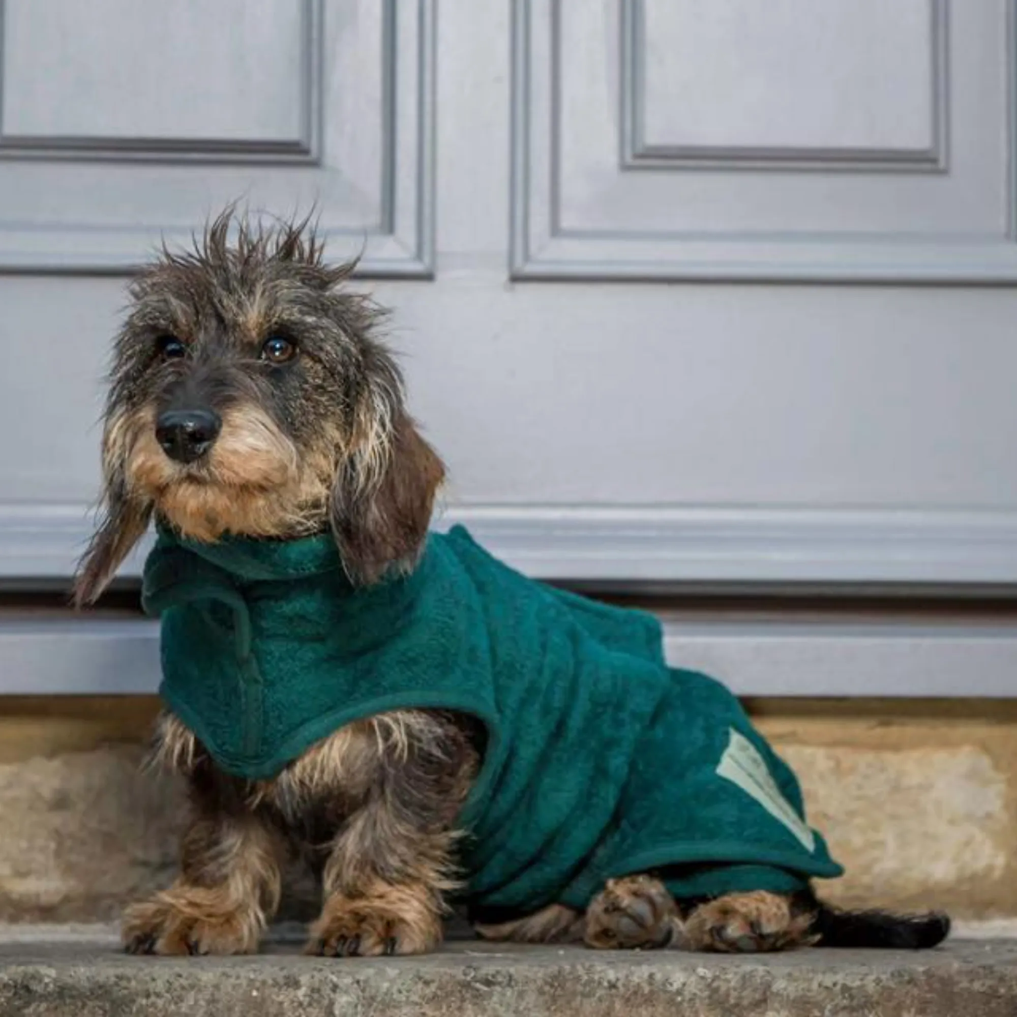 Dog Drying Coat - Dachshund Collection