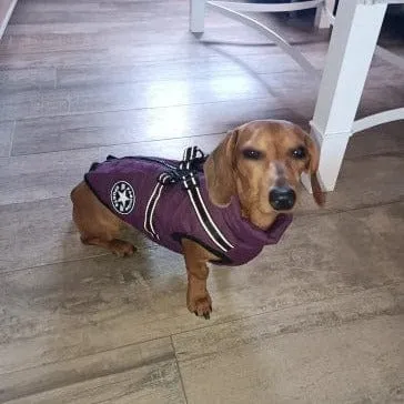 Fashion Stars Dachshund Jacket